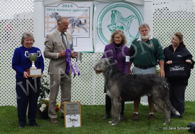 Winners Dog: TALIESIN'S REALTBHUION