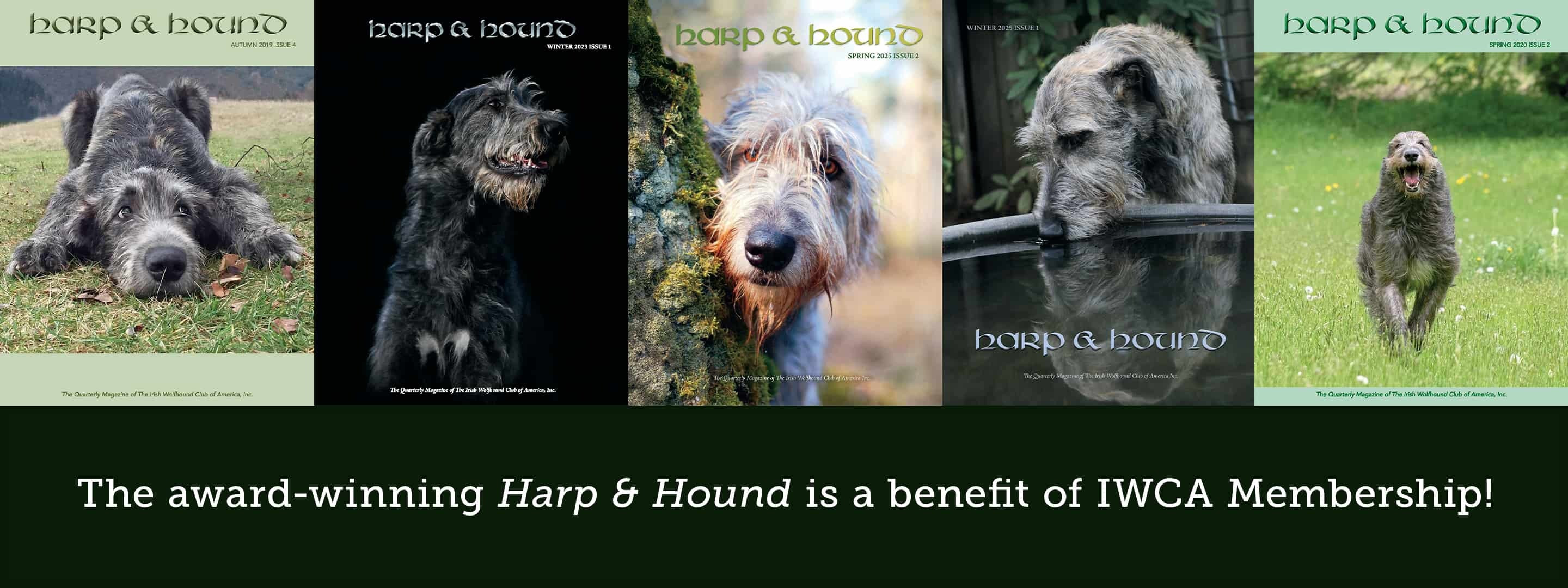 The award winning Harp and Hound is a benefit of IWCA membership