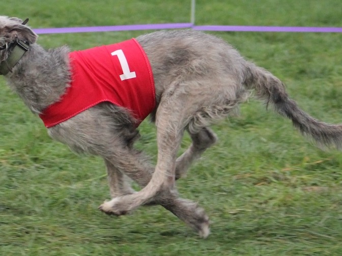 #1 Alloy (photo credit: L. Christine Savolainen)