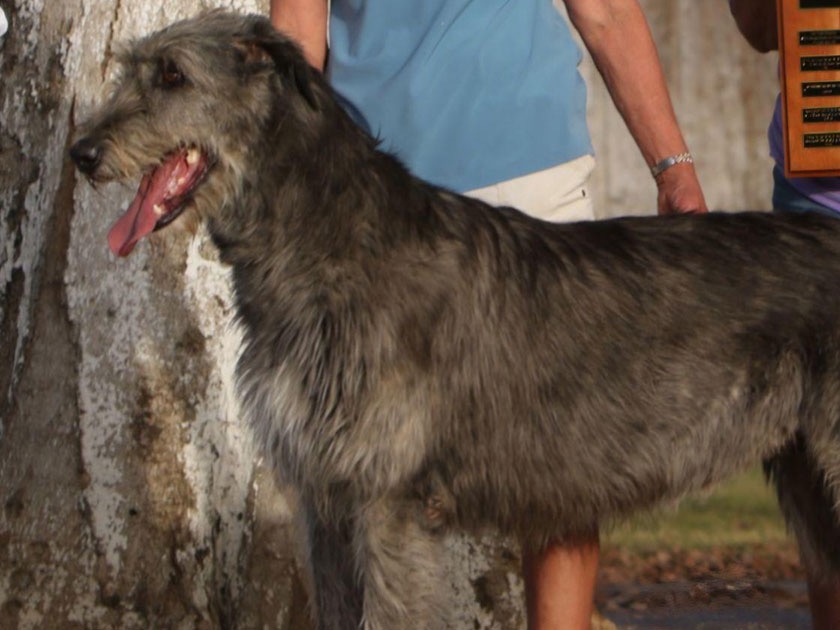 Photo: Evita (courtesy of Mark Berry)