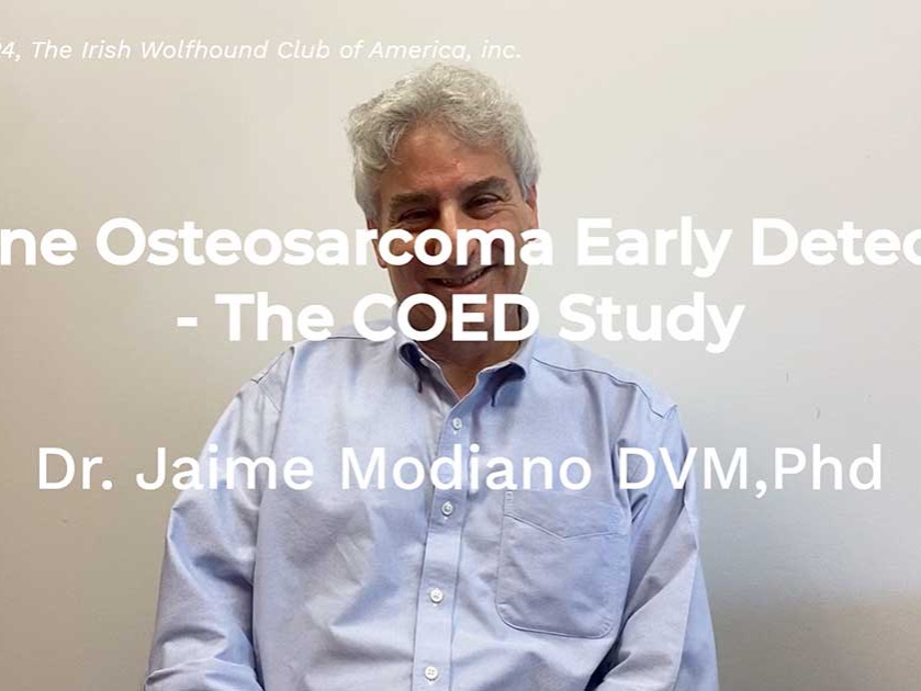 2024 Update – Canine Osteosarcoma Early Detection - The COED Study with Jaime Modiano DVM, PhD