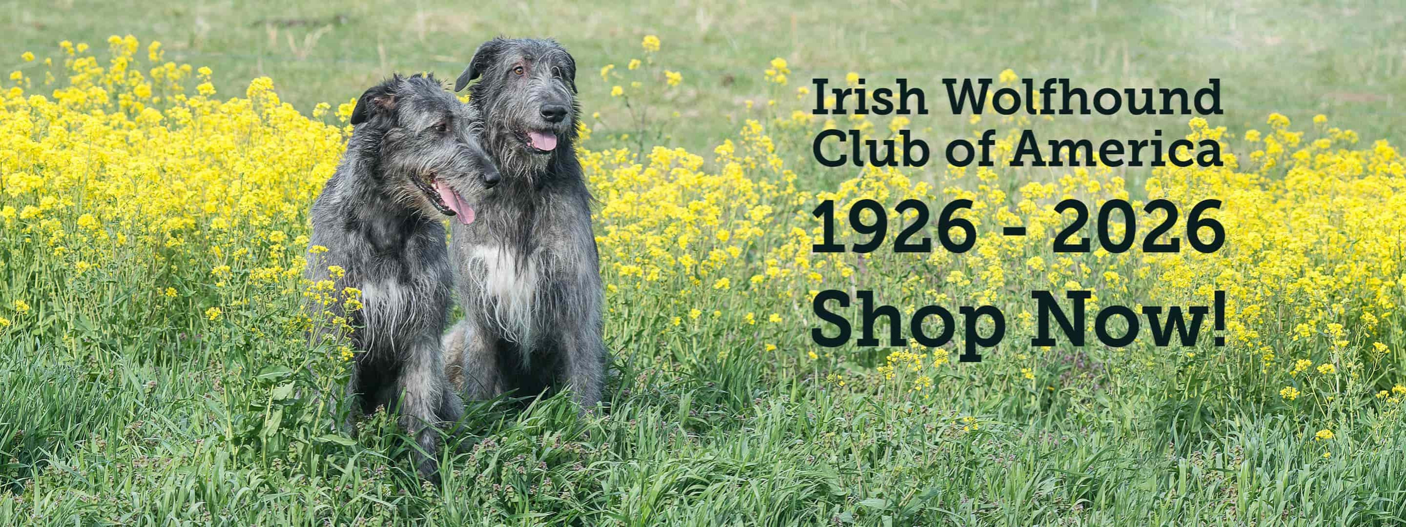 IWCA 1926-2026 Shop Now