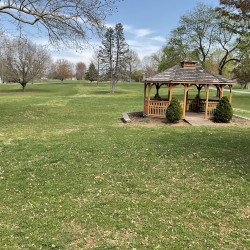 Park with green grass and gazebo