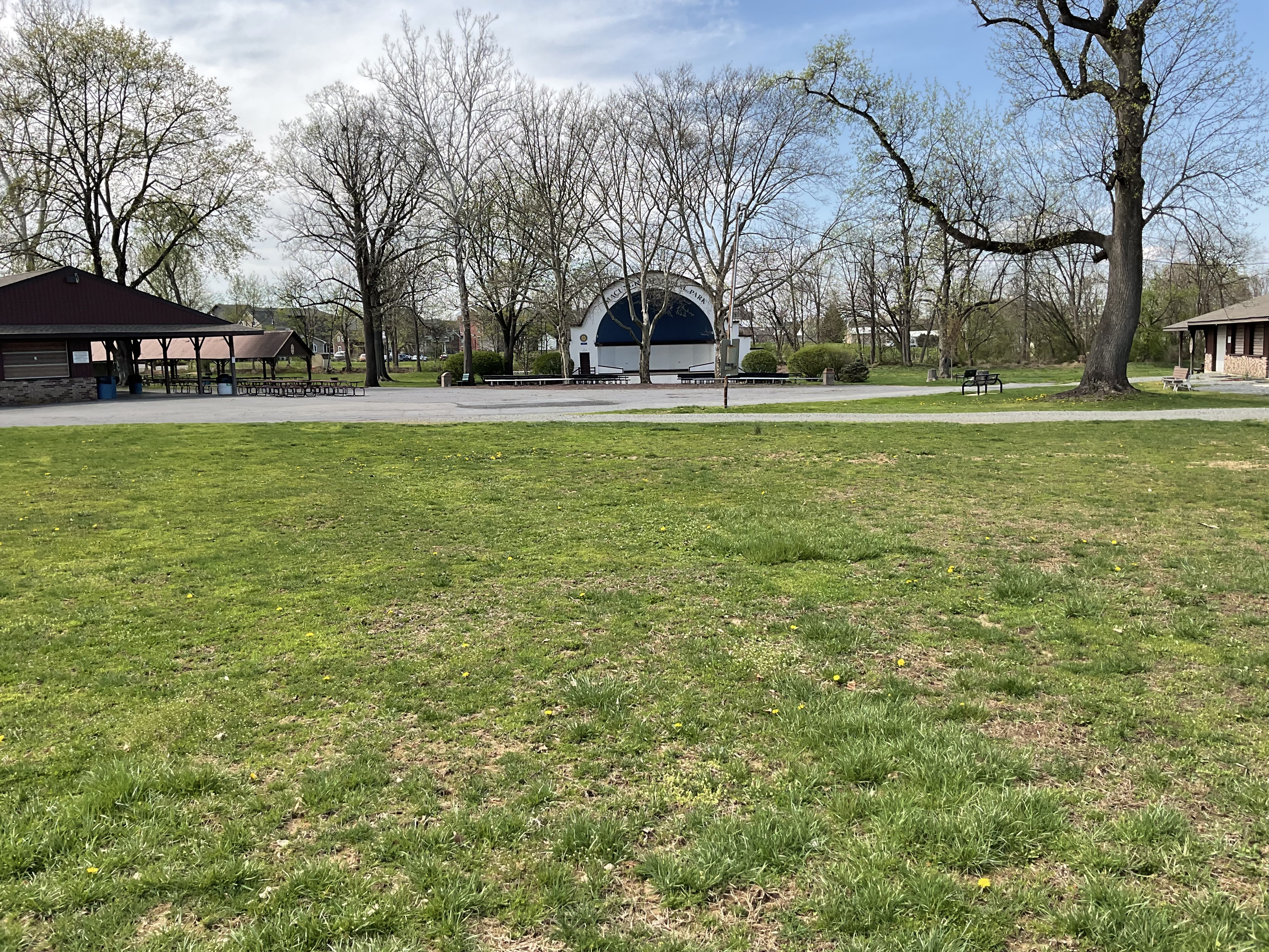 View of grass and paved section of the park. Pavilion on the left and a large tree on the right. A building in the center in the distance with trees in front.