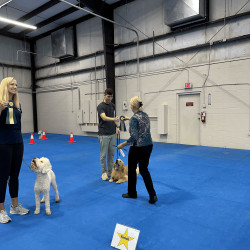 2 dogs with judge and handler getting ribbons