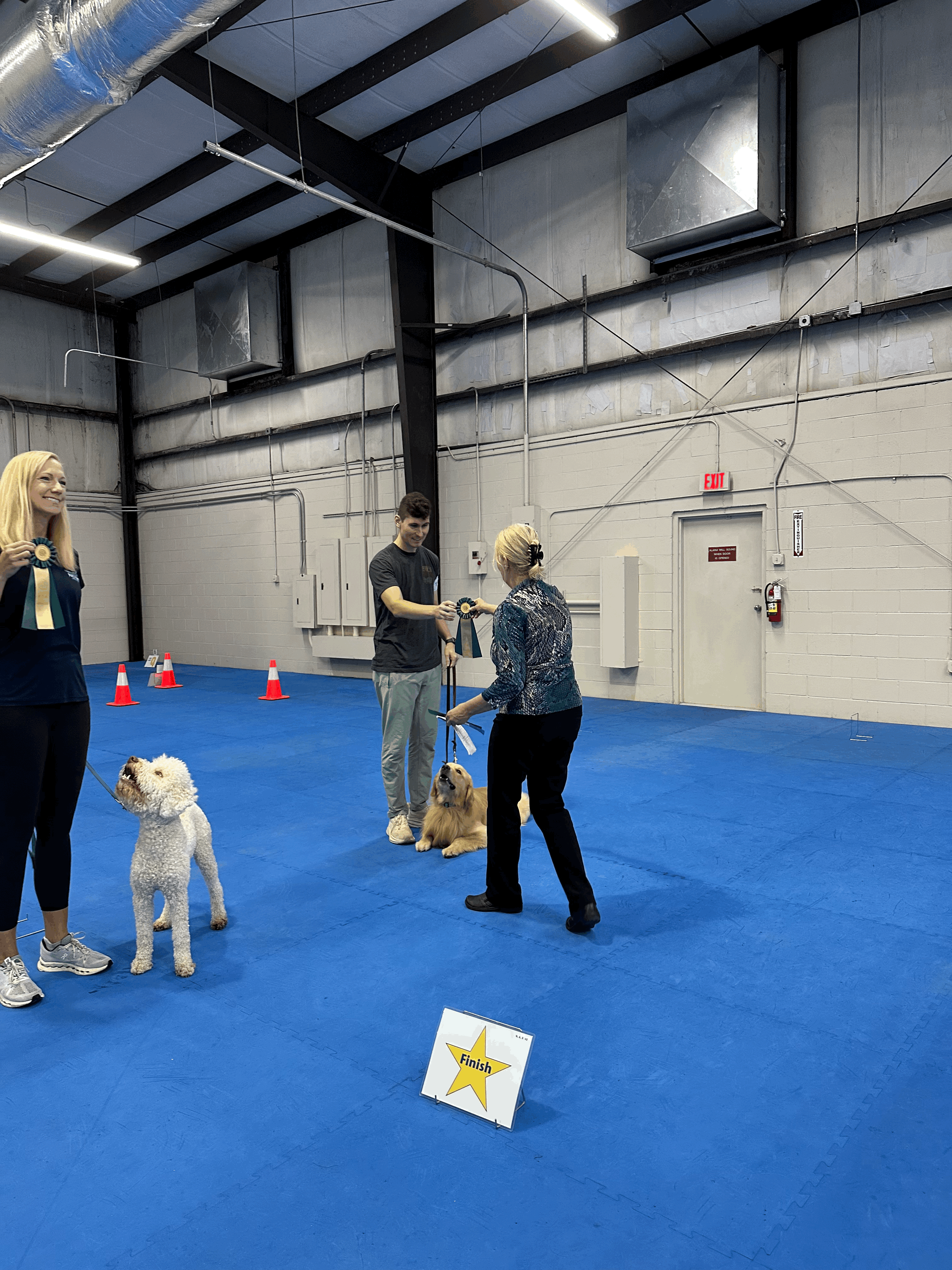 2 dogs with judge and handler getting ribbons