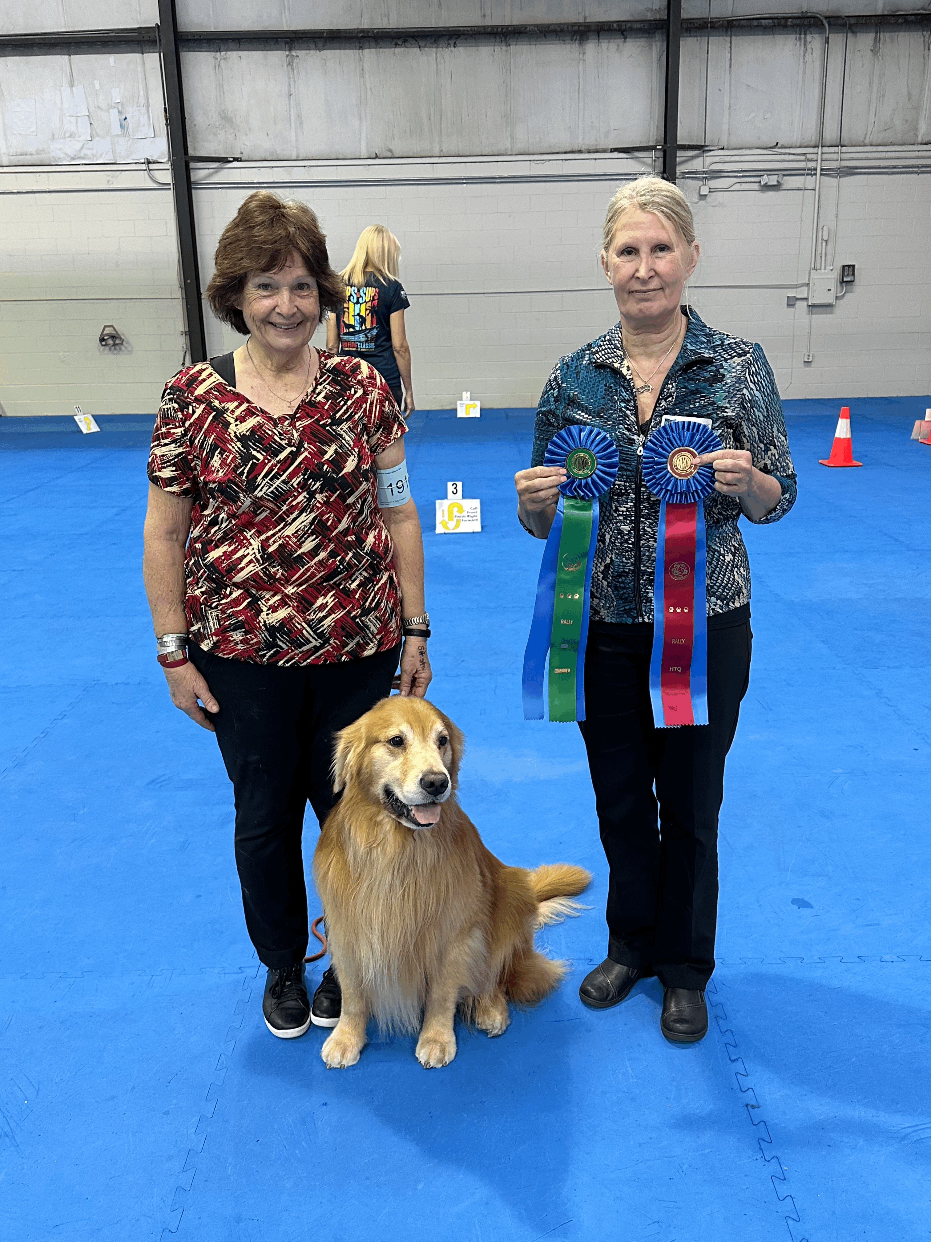 golden retriever getting ribbons in rally trial