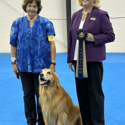 golden receiving ribbon from judge