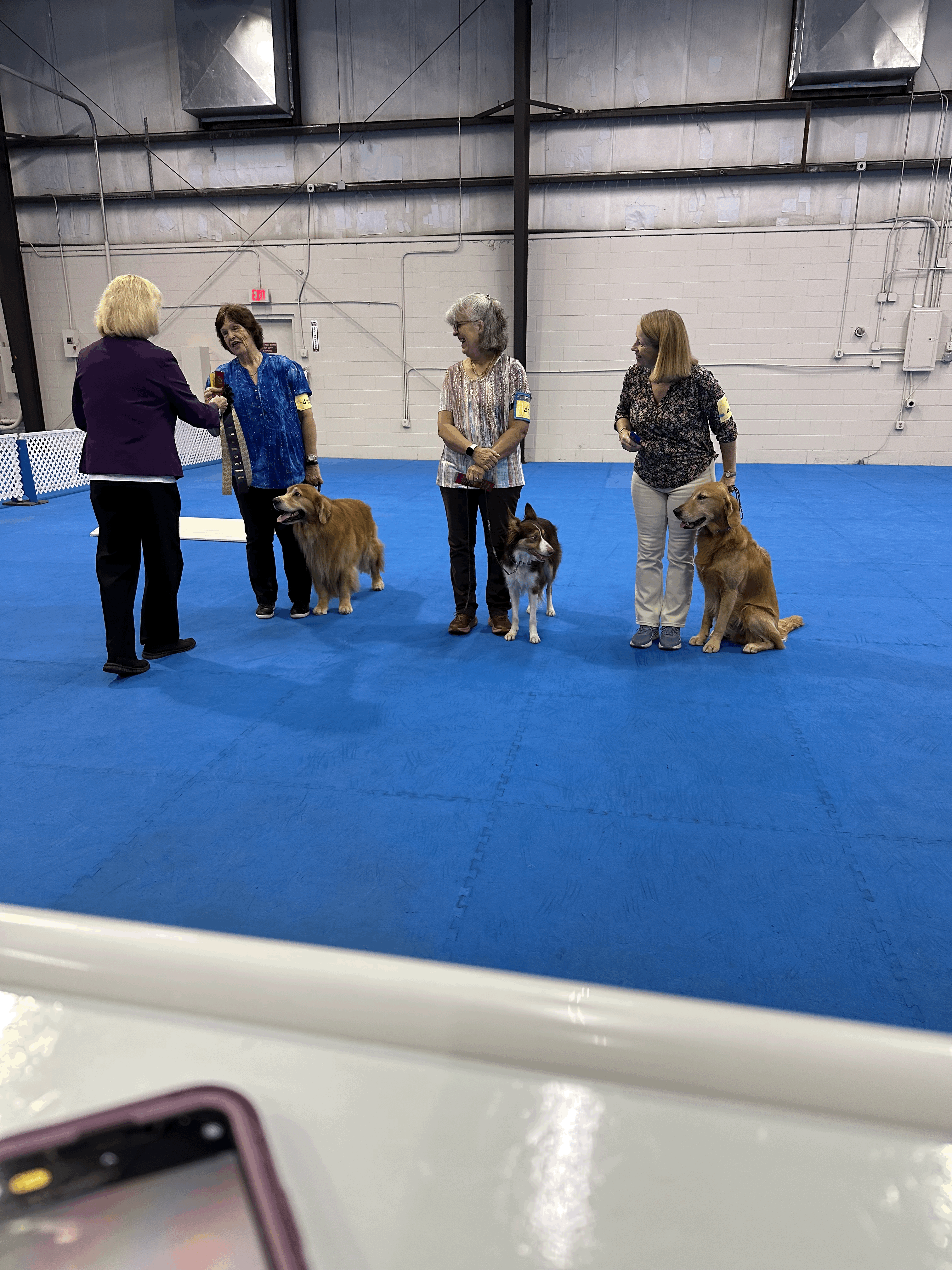 Dogs getting obedience trial ribbons