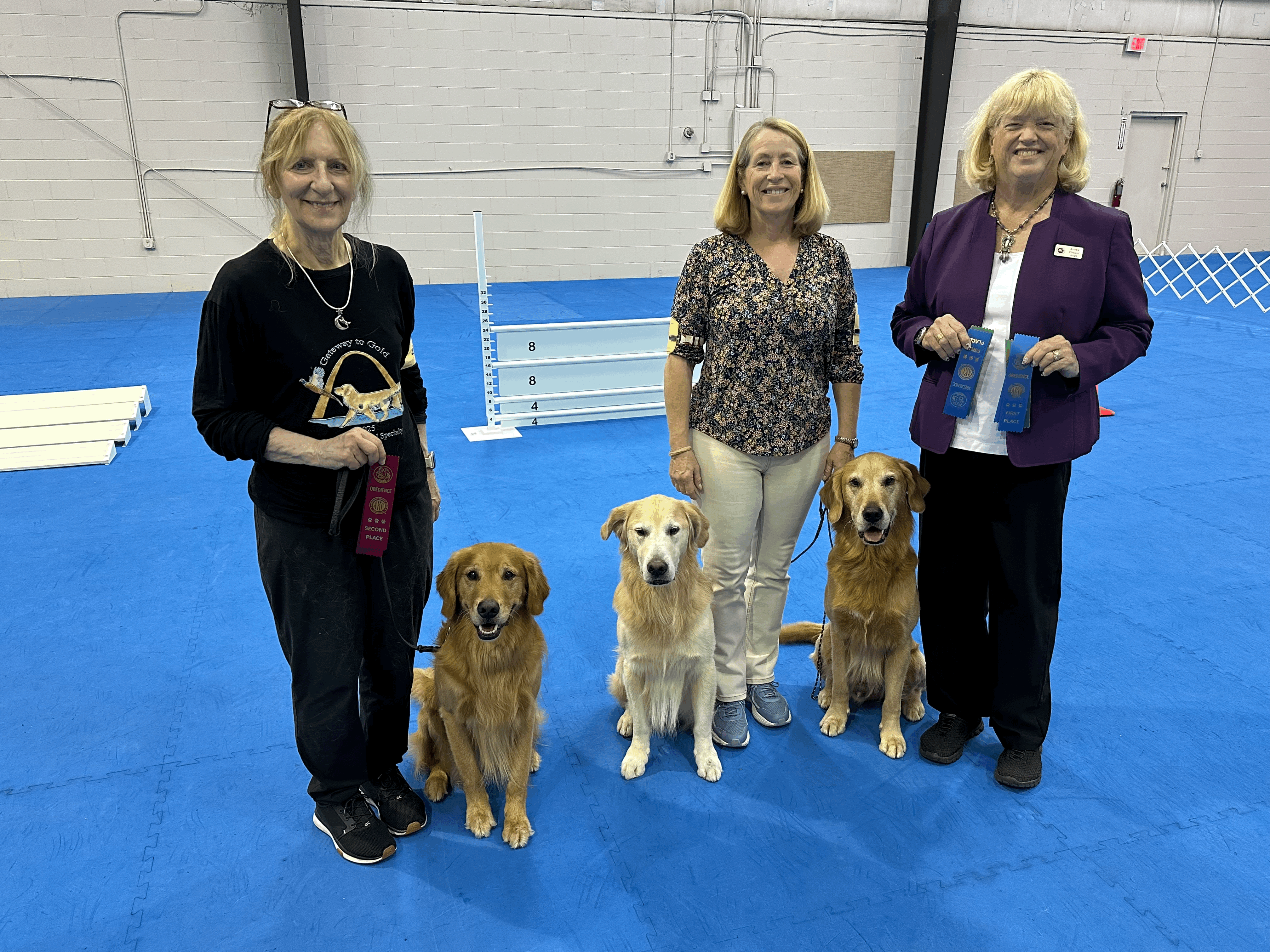 Three goldens with handler and Judge
