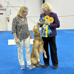 Susan Howard with Judge and many ribbons
