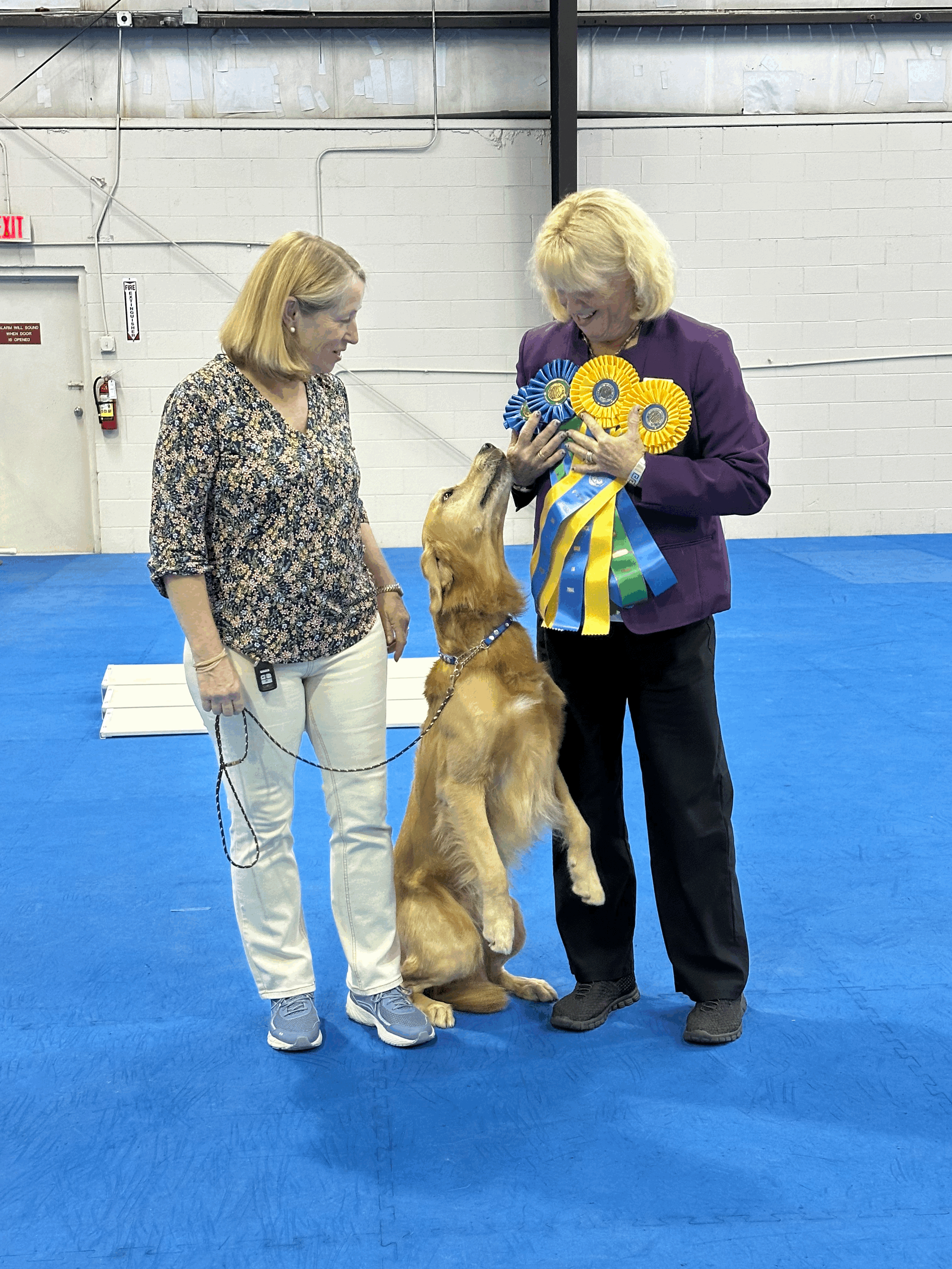 Susan Howard with Judge and many ribbons