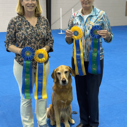 Susan Howard with judge ribbons and winning dog