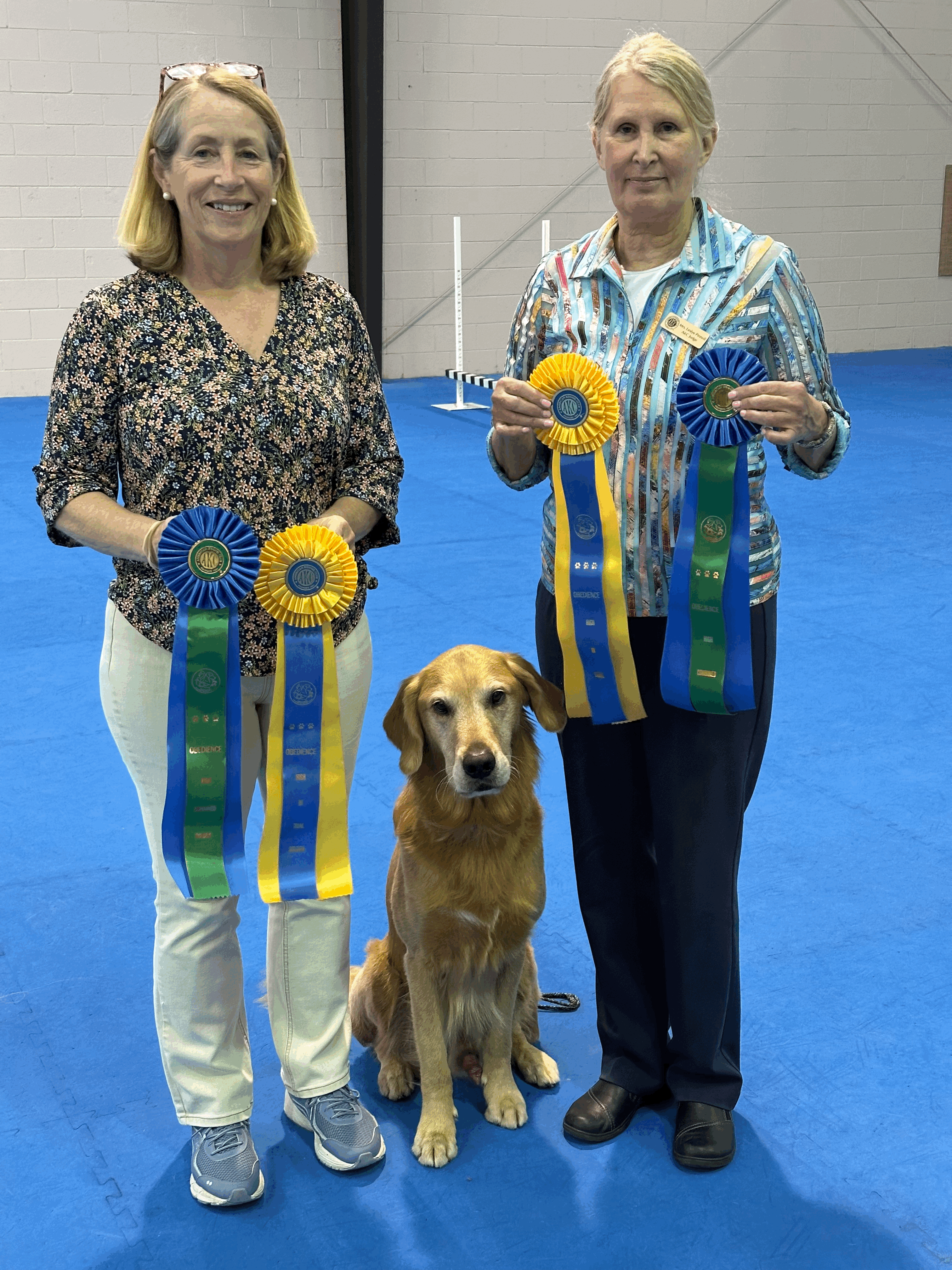 Susan Howard with judge ribbons and winning dog