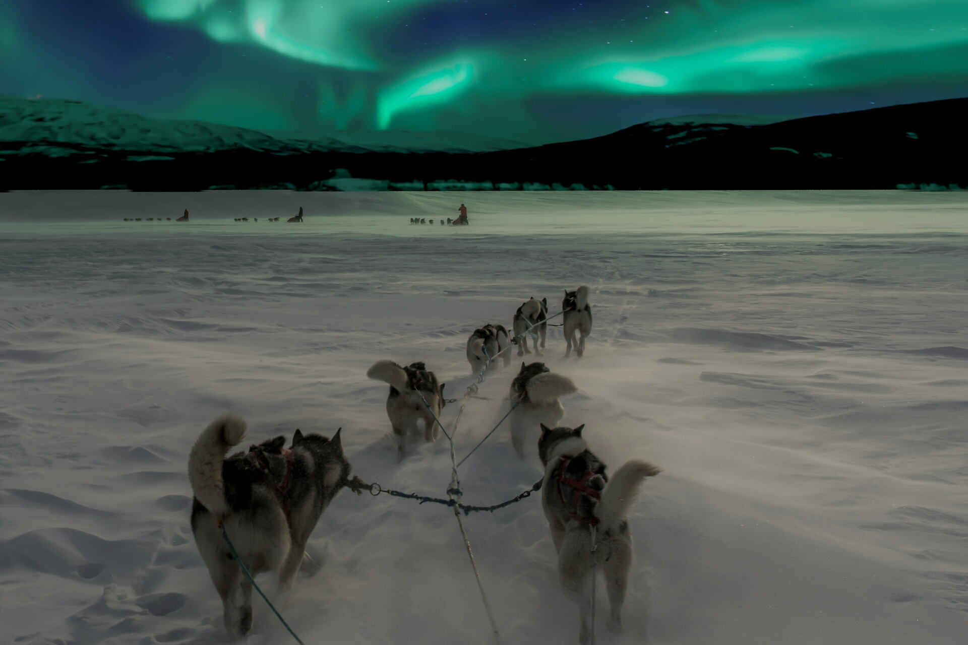 A husky sled team running across snow beneath the northern lights